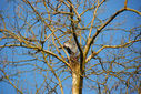 DSC_1142.jpg