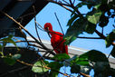 DSC_1149.jpg