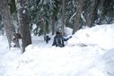 nEO_IMG_DSC_0915.jpg